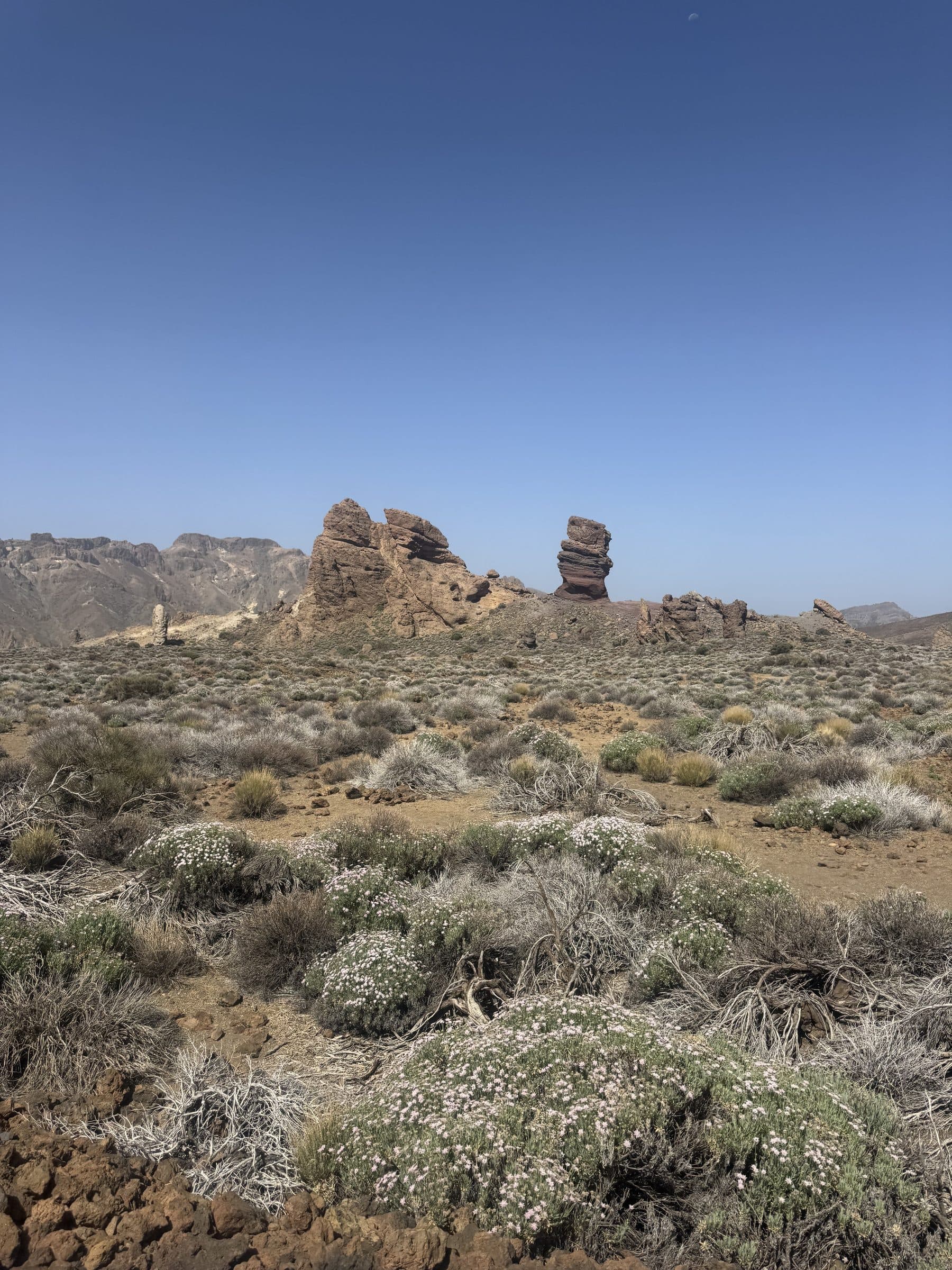 Volcanic rock pinnacles and high-altitude scrub vegetation on the slopes of Teide.