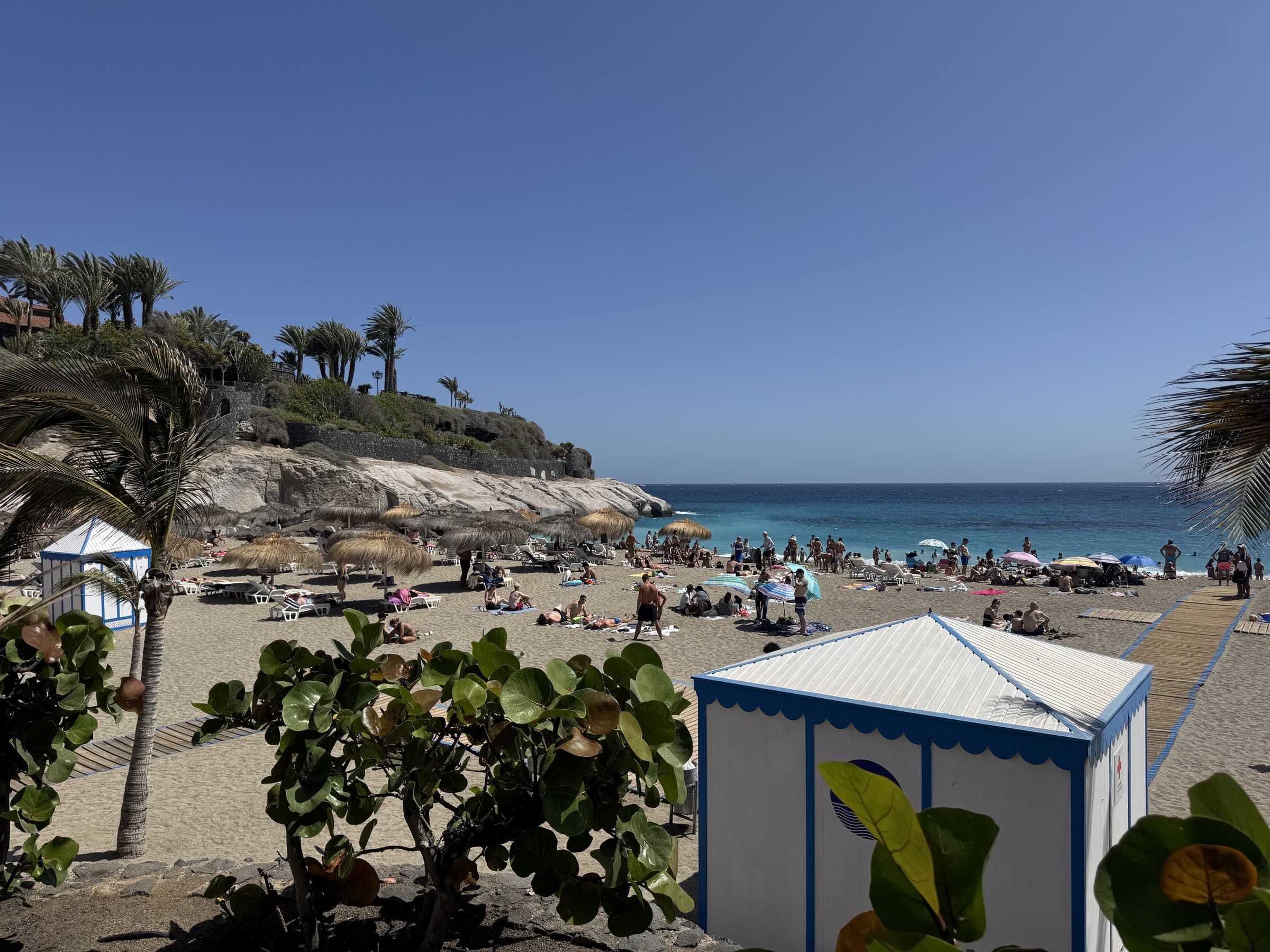 Playa del Duque, Costa Adeje — the beach, sea and coastline.