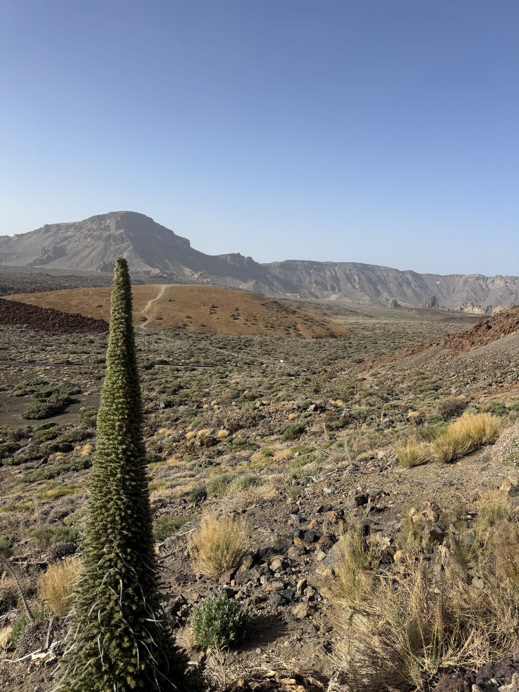 The volcanic highlands of Teide National Park, Tenerife, under a wide open sky.
